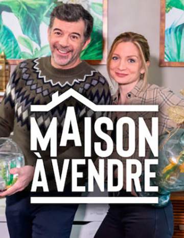 M6 Maison à Vendre Stéphane Plaza, Carole Carat, papier peint adhésif art déco